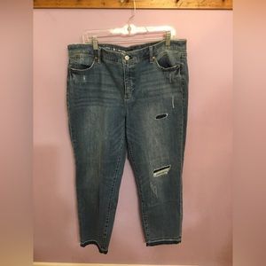 Talbots Flawless Slim Ankle Jeans Size 16 Never Worn, New without tags